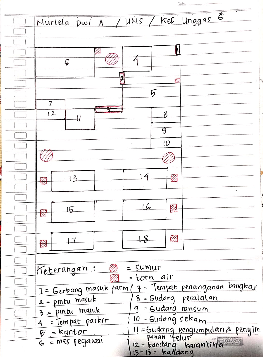 DESAIN AREA KANDANG